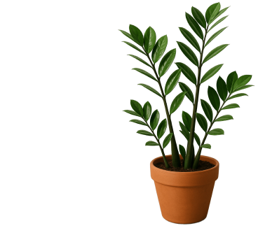 Товары для дома