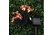 Гирлянда садовая INBLOOM Пчелка , на солнечной батарее, 25 LED, 7 м, 2 режима
