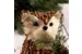 Украшение новогоднее Медведь, 13*10*15 см