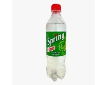 Напиток газированный Spring Лайм, 0,5 л