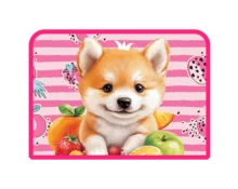 Папка для тетрадей ArtSpace Corgi,1 отделение, А4, на молнии