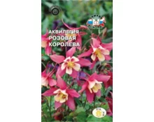 Семена Аквилегия Розовая Королева гибридная, СеДек, 0,05 гр, Евро