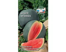 Семена Арбуз Огонек, СеДек, 1 гр, Евро