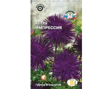 Семена Астра Импрессия, СеДек, игольчатая, темно-фиолетовая, 0,2 гр, Евро