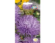Семена Астра Люся, СеДек, игольчатая, темно-сиреневая, 0,2 гр, Евро
