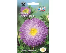 Семена Астра Вероника, СеДек, принцесса, фиолетово-пурпурная, 0,2 гр, Евро