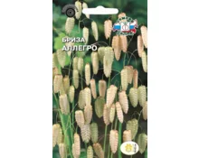 Семена Бриза Максима Аллегро, СеДек, трясунка большая, 0,5 гр, Евро