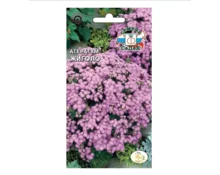 Семена Агератум Жиголо, СеДек, мексиканский, розовый, 0,1 гр, Евро