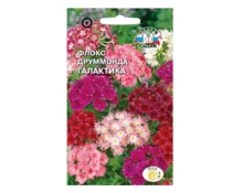Семена Флокс Друммонда Галактика, СеДек, звездчатая, смесь, 0,25 гр, Евро