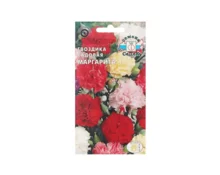 Семена Гвоздика Маргарита, СеДек, садовая, смесь, 0,1 гр, Евро
