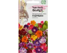 Семена Декоративная смесь Кудряшка, Гавриш, однолетник, 1,0 гр, Евро