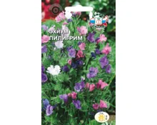 Семена Эхиум Пилигрим, СеДек, гибридный, смесь, 0,5 гр, Евро
