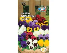 Семена Фиалка Бархатный ковер, СеДек,витрокка, смесь, 0,05 гр, Евро