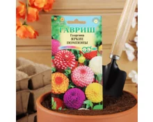 Семена Георгина Яркие помпоны, Гавриш, 0,2 гр, Евро