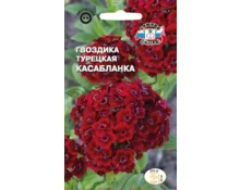 Семена Гвоздика Касабланка, СеДек, турецкая, красная с белым глазком, 0,3 гр, Евро