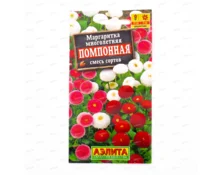 Семена Маргаритка Помпонная, АЭЛИТА, смесь, 0,05 гр, Евро