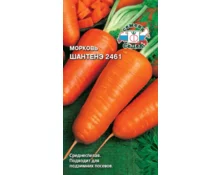 Семена Морковь Шантанэ 2461, СеДек, 2 гр, Евро