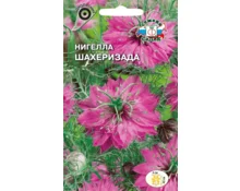 Семена Нигелла Шахеризада, СеДек, дамасская, ярко-розовая, 1 гр, Евро
