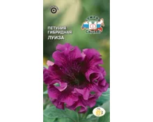 Семена Петуния Луиза F1, СеДек, крупноцветковая, махровая, темно-пурпурная, 10 гр, Евро