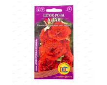 Семена Шток-роза Алая, ДемСиб, 0,1 гр, Евро
