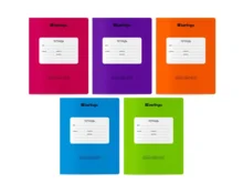 Тетрадь 24л Berlingo Color Zone, линия
