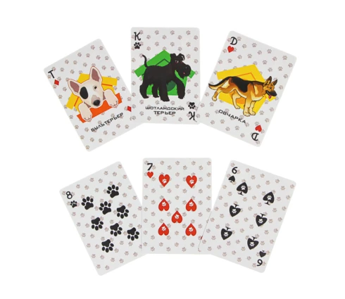 Карты игральные, пластиковые, 36 карт, микс, 6,3*8,8 см