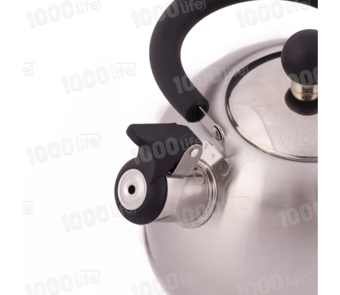 Чайник из нержавеющей стали KV503 2,5 л