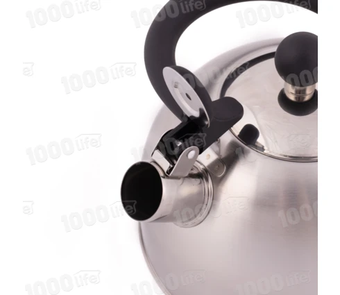 Чайник из нержавеющей стали KV503 2,5 л