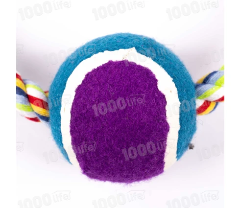 Игрушка для собак Кольцо с мячом