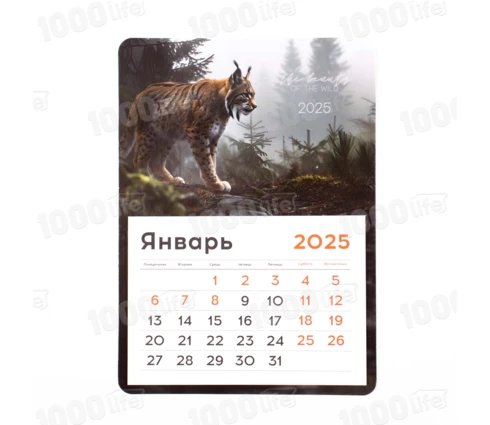 Календарь BG Дикий мир, отрывной на магните, 130*180 мм, склейка, 2025 год