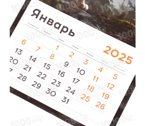 Календарь BG Дикий мир, отрывной на магните, 130*180 мм, склейка, 2025 год