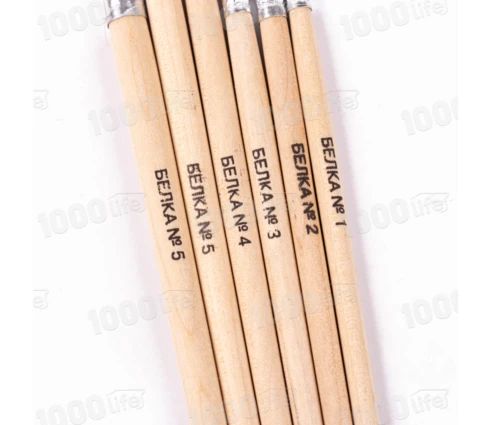 Набор кистей Белка, 6 предметов