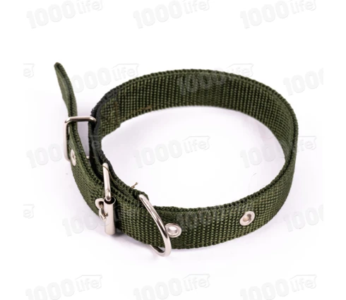 Ошейник Pet&You брезентовый двухслойный 50 см, ширина 2,5 см
