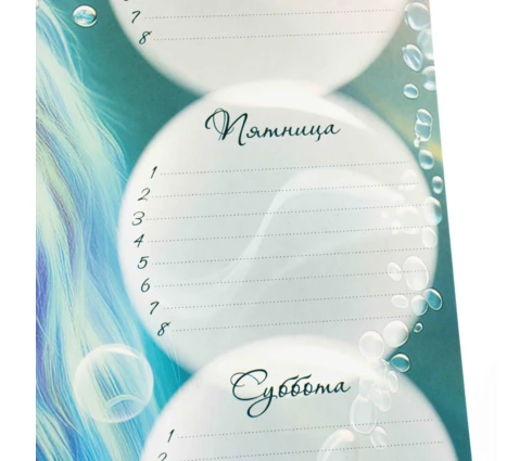 Расписание уроков ErichKrause Aquamarine, А4