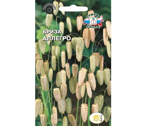 Семена Бриза Максима Аллегро, СеДек, трясунка большая, 0,5 гр, Евро