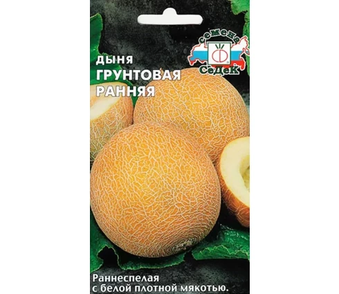 Семена Дыня Грунтовая ранняя, СеДек, 0,5 гр, Евро