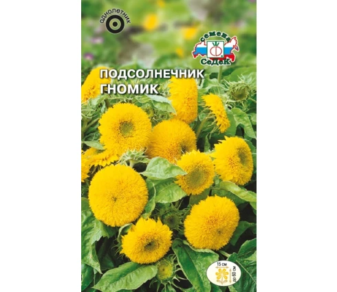 Семена Подсолнечник Гномик карликовый, СеДек, высота 60см, 3 гр, Евро